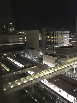ホテルメトロポリタン川崎景色