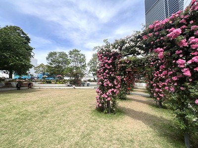 横浜市役所の花のアーチ