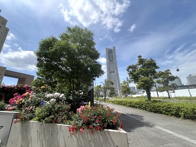 横浜市役所からランドマーク方面