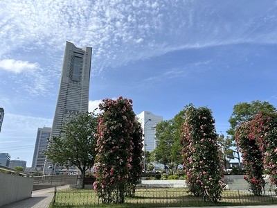 ランドマークと花のアーチ