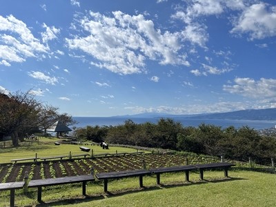 吾妻山公園からの相模湾