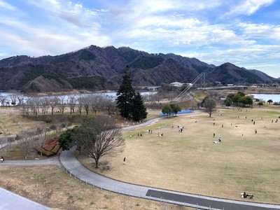 宮ヶ瀬湖畔園地のジャンボツリー