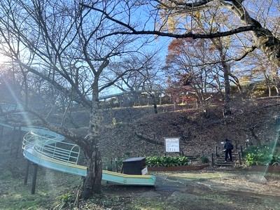 全長102mの吾妻山公園のローラー滑り台